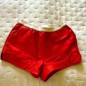 Alexander wang Lampkin leather shorts